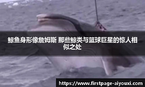 爱游戏AYX